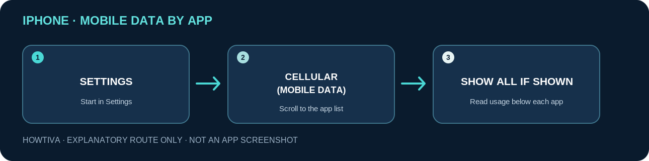 Non-UI diagram: on iPhone open Settings, then Cellular or Mobile Data, then Show All if available to read app data use.
